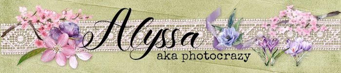Spring Signature