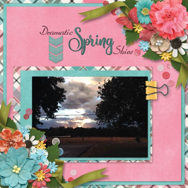 Spring Skies