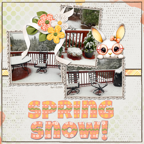 Spring Snow!