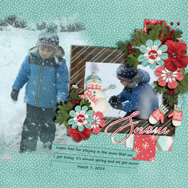 Spring-Snow1