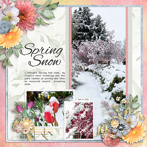 Spring-Snow2
