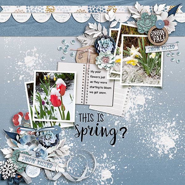 Spring-Snow3