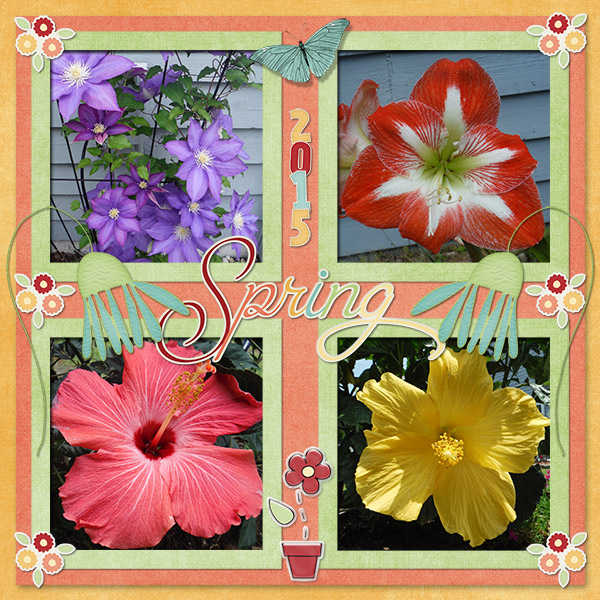 Spring Splendor