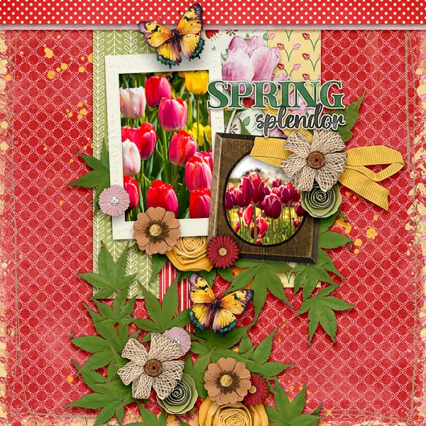 Spring Splendor