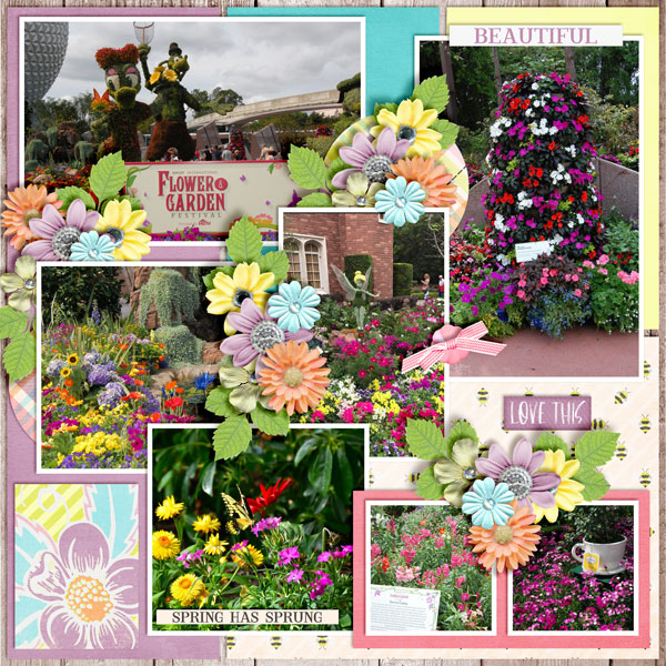 Spring-Sprung