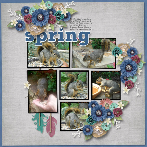 Spring - Squirrel