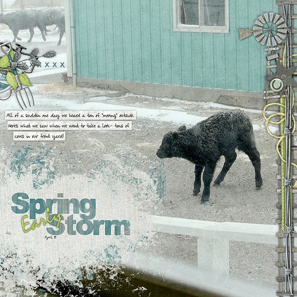 Spring Storm