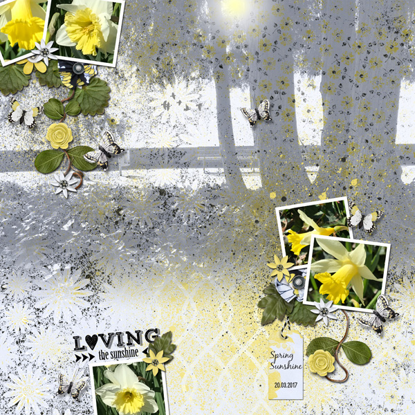 Spring Sunshine