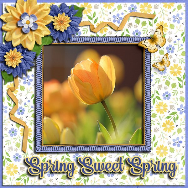 Spring Sweet Spring