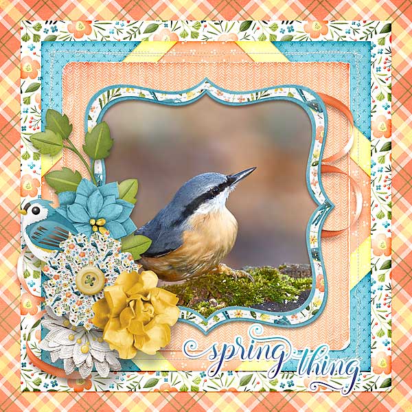 Spring Thing