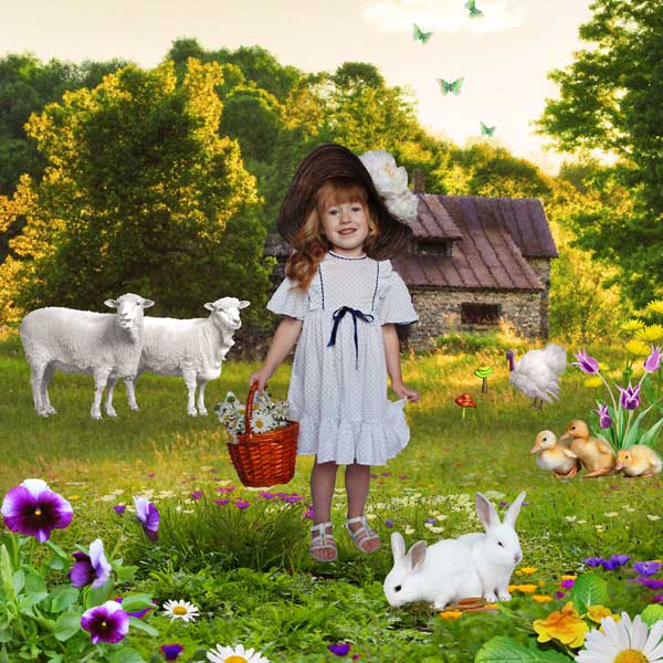 Spring Time Is Coming