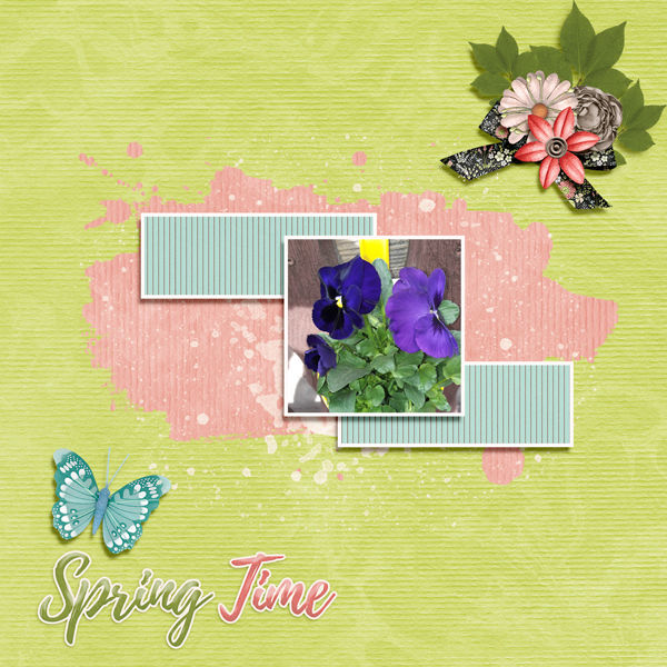 Spring time