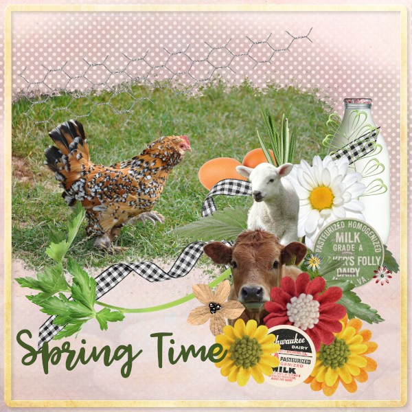 Spring Time