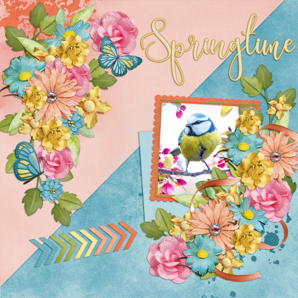 Spring Time