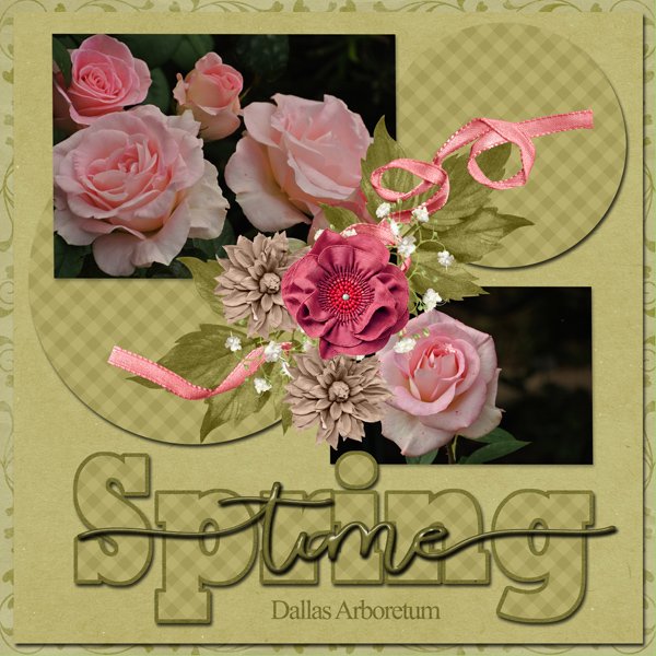 Spring time