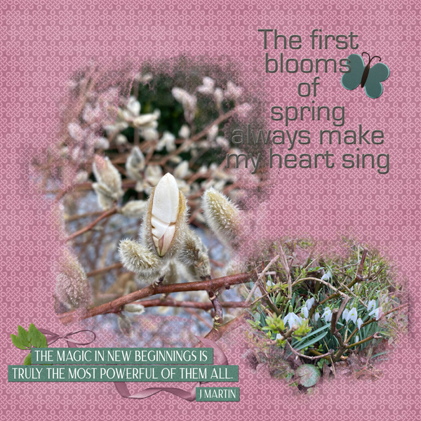 spring to blossom