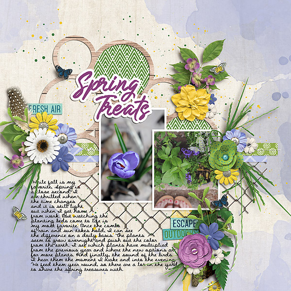 Spring Treats