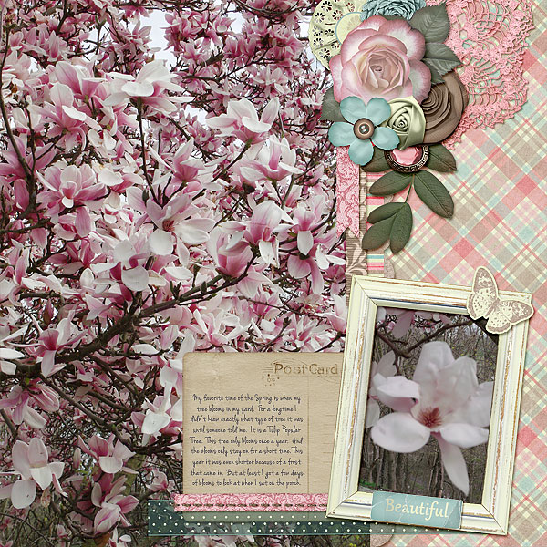 Spring Tree