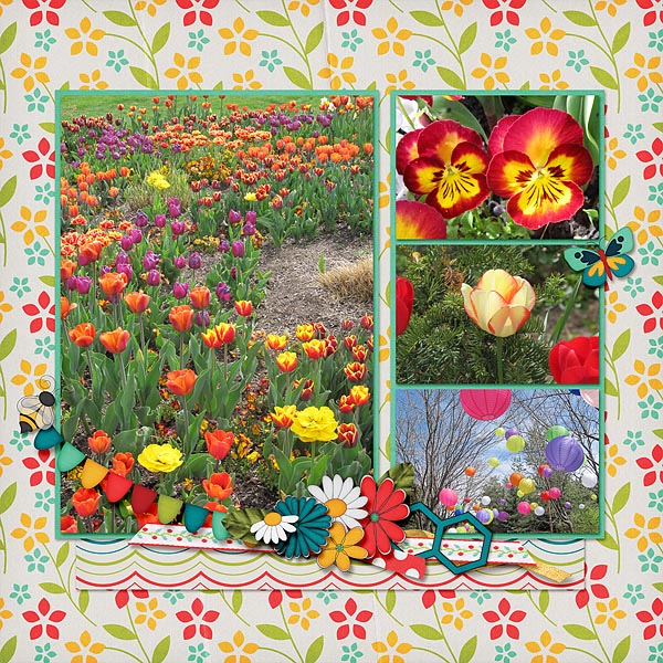 Spring Tulip Festival
