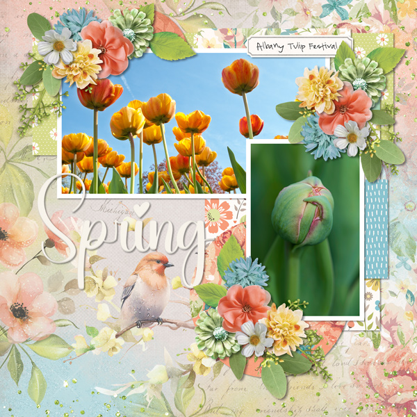 Spring Tulip Festival