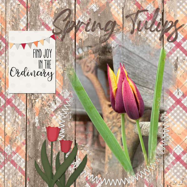 Spring Tulips