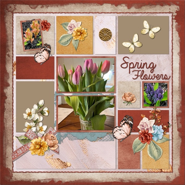 Spring Tulips