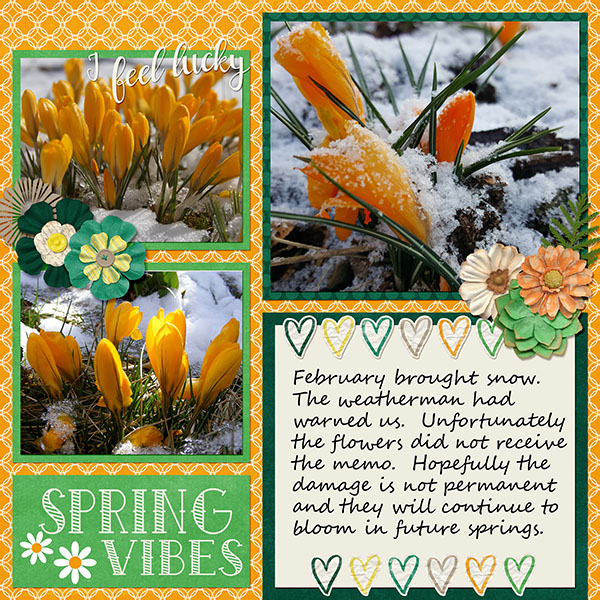 Spring Vibes