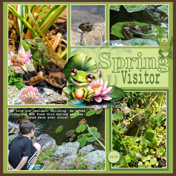 Spring Visitor - 2018