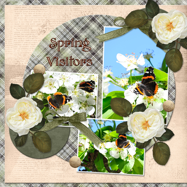 Spring Visitors