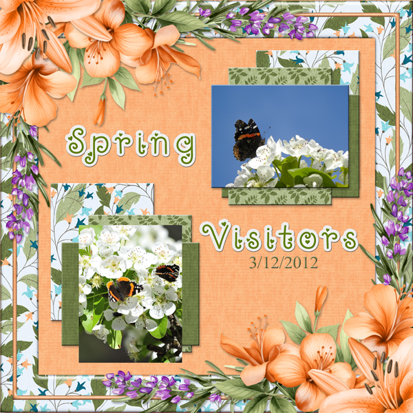 Spring Visitors