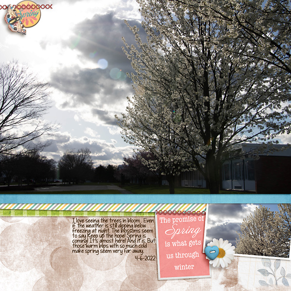 Spring Wanted