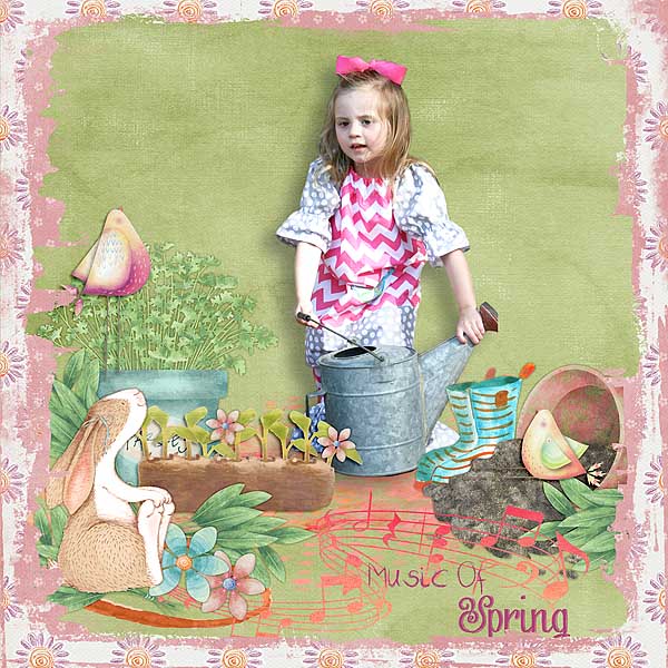 Spring Watering