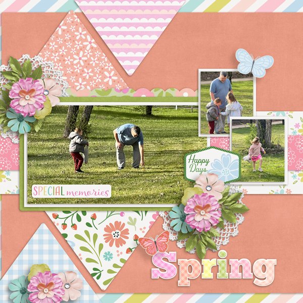 Spring-web.jpg
