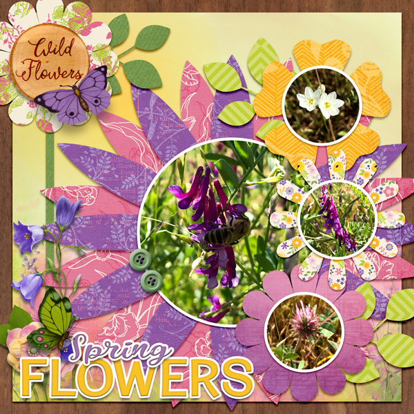 spring wild flowers