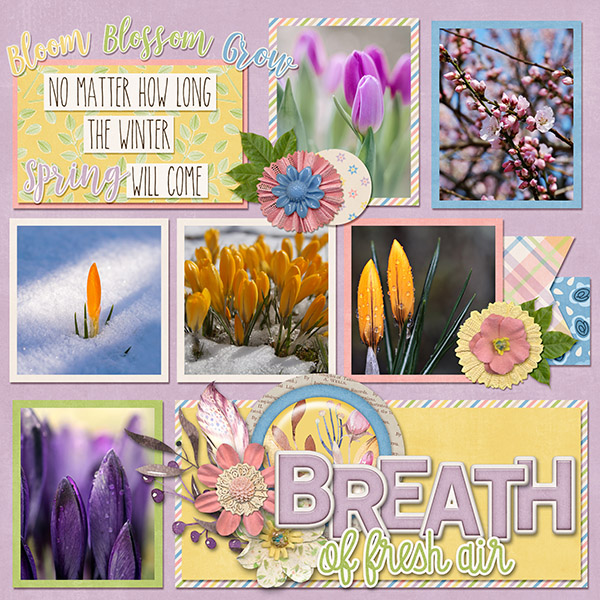 Spring Will Come