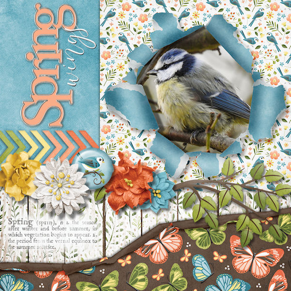 Spring Wings