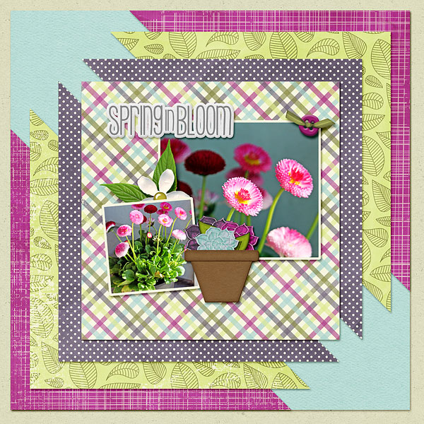 Spring
