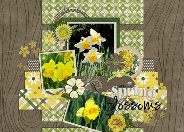 spring