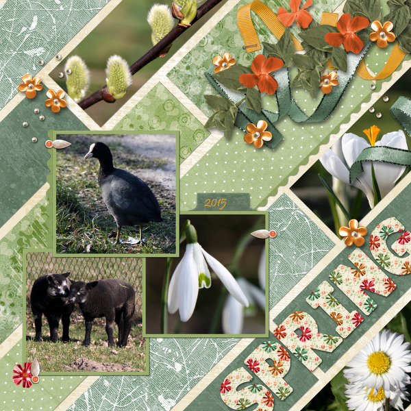 Spring