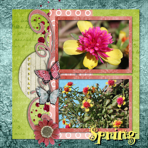 Spring