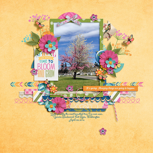 spring