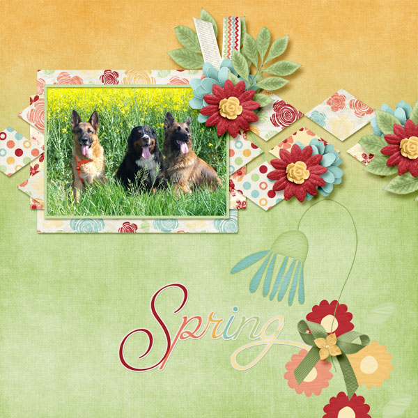 SPRING