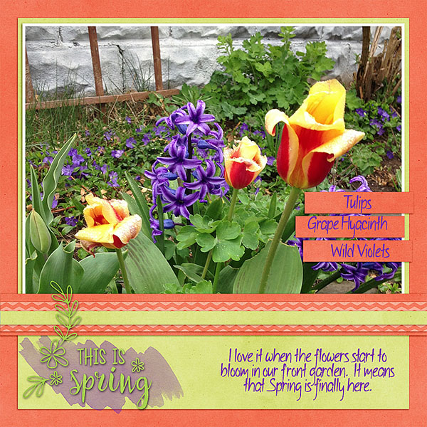 Spring