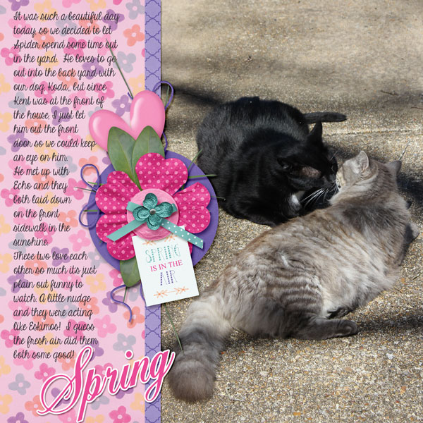 Spring