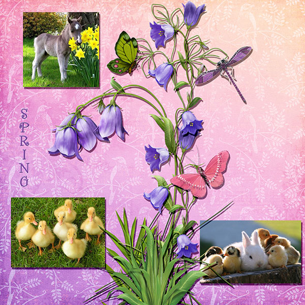 Spring