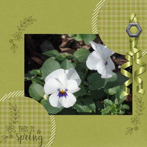 Spring