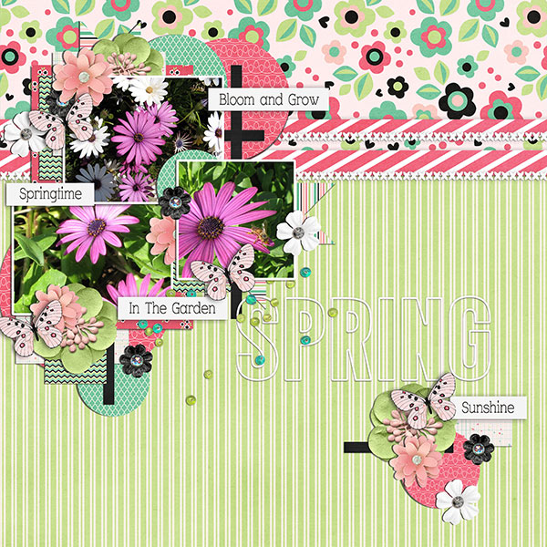 spring