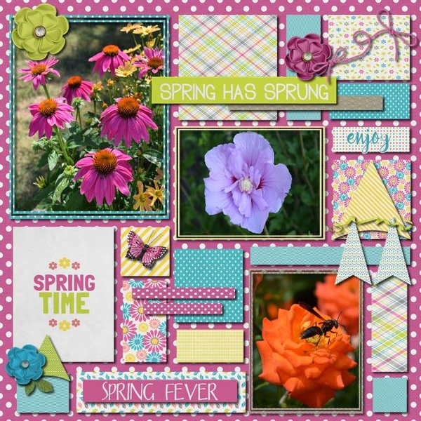 Spring