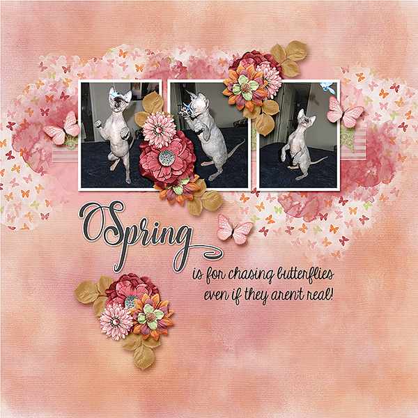 Spring