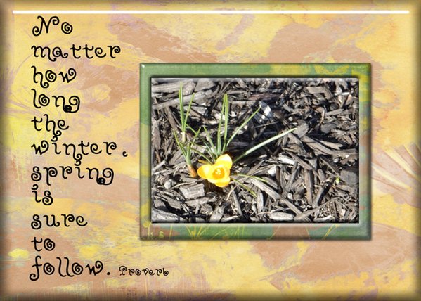 Spring